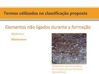 Wackestone com fusulinídeos, 
Fm. Cruzeiro do Sul, Permiano, Bacia do Acre. 
Elementos não ligados durante a formação 
Mudstone 
Wackestone 
 