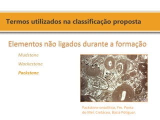Packstone oncolítico, Fm. Ponta do Mel, Cretáceo, Bacia Potiguar. 
Elementos não ligados durante a formação 
Mudstone 
Wackestone 
Packstone  