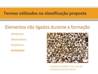 Grainstone oolítico. Fm. Guarujá, Cretáceo, Bacia de Santos. Elementos não ligados durante a formação Mudstone Wackestone Packstone Grainstone  