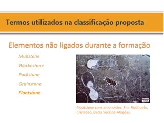 Floatstone com amonoides, Fm. Riachuelo, Cretáceo, Bacia Sergipe-Alagoas. 
Elementos não ligados durante a formação 
Mudstone 
Wackestone 
Packstone 
Grainstone 
Floatstone 
 