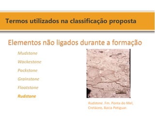 Rudstone. Fm. Ponta do Mel, Cretáceo, Bacia Potiguar. 
Elementos não ligados durante a formação 
Mudstone 
Wackestone 
Packstone 
Grainstone 
Floatstone 
Rudstone 
 
