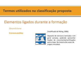 (modificado de Riding, 2000) 
Deposito de estrutura laminada e em geral convexa, podendo apresentar feições de crescimento/ramificações para o topo. Na maioria das vezes de 
origem microbial. 
Elementos ligados durante a formação 
Boundstone 
Estromatólito 
 