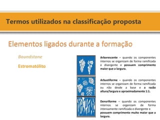 Arborescente – quando os componentes internos se organizam de forma ramificada e divergente e possuem comprimento maior que a largura. 
Arbustiforme – quando os componentes internos se organizam de forma ramificada ou não desde a base e a razão altura/largura e aproximadamente 1:1. 
Densriforme – quando os componentes internos se organizam de forma intensamente ramificada e divergente e 
possuem comprimento muito maior que a largura. 
Elementos ligados durante a formação 
Boundstone 
Estromatólito 
 