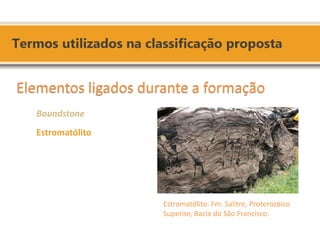 Estromatólito. Fm. Salitre, Proterozóico Superior, Bacia do São Francisco. Elementos ligados durante a formação Boundstone Estromatólito  