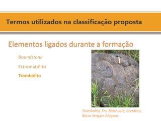 Trombolito, Fm. Riachuelo, Cretáceo, Bacia Sergipe-Alagoas. 
Elementos ligados durante a formação 
Boundstone 
Estromatólito 
Trombolito  