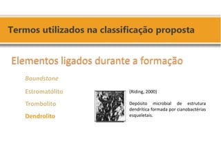 (Riding, 2000) Depósito microbial de estrutura dendrítica formada por cianobactérias esqueletais. 
Elementos ligados durante a formação 
Boundstone 
Estromatólito 
Trombolito 
Dendrolito 
 