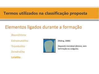 (Riding, 2000) 
Deposito microbial dômico, sem laminação ou coágulos. 
Elementos ligados durante a formação 
Boundstone 
Estromatólito 
Trombolito 
Dendrolito 
Leiolito 
 