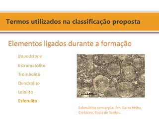 Esferulitito com argila. Fm. Barra Velha, Cretáceo, Bacia de Santos. 
Elementos ligados durante a formação 
Boundstone 
Estromatólito 
Trombolito 
Dendrolito 
Leiolito 
Esferulito  