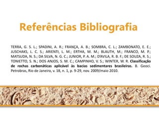 TERRA, G. S. L.; SPADINI, A. R.; FRANÇA, A. B.; SOMBRA, C. L.; ZAMBONATO, E. E.; JUSCHAKS, L. C. S.; ARIENTI, L. M.; ERTHA, M. M.; BLAUTH, M.; FRANCO, M. P.; MATSUDA, N. S.; DA SILVA, N. G. C.; JUNIOR, P. A. M.; D’AVILA, R. B. F.; DE SOUZA, R. S.; TONIETTO, S. N.; DOS ANJOS, S. M. C.; CAMPINHO, V. S.; WINTER, W. R. Classificação de rochas carbonáticas aplicável às bacias sedimentares brasileiras. B. Geoci. Petrobras, Rio de Janeiro, v. 18, n. 1, p. 9-29, nov. 2009/maio 2010. 