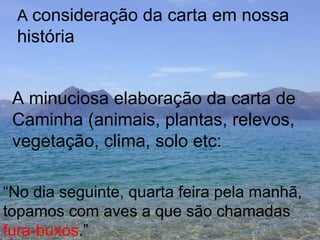 A  consideração da carta em nossa  história A minuciosa elaboração da carta de  Caminha (animais, plantas, relevos, vegetação, clima, solo etc: “ No dia seguinte, quarta feira pela manhã,  topamos com aves a que são chamadas fura-buxos .” 