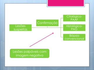 Citológico-
                                PAAF
              Confirmação
 Lesões                     Histológico-
suspeitas                       PAG

                               Biópsia
                            convencional



Lesões palpáveis com
  imagem negativa
 