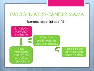 PATOGENIA DO CÂNCER MAMA
            Tumores esporádicos- RE +

  Exposição
  hormonal-
  estrógeno
                      Estimula a
                   proliferação de
                  células mamárias
    Seus                             Coloca células
 metabólitos                         em risco para
podem gerar                          dano no DNA
mutações ou
radicais livres
 