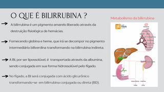 O QUE É BILIRRUBINA ?
A bilirrubina é um pigmento amarelo liberado através da
destruição fisiológica de hemácias.
Fornecendo globina e heme, que irá se decompor no pigmento
intermediário biliverdina transformando na bilirrubina indireta.
A BI, por ser lipossolúvel, é transportada através da albumina,
sendo conjugada em sua forma hidrossolúvel pelo fígado.
No fígado, a BI será conjugada com ácido glicurônico
transformando-se em bilirrubina conjugada ou direta (BD).
Metabolismo da bilirrubina
 