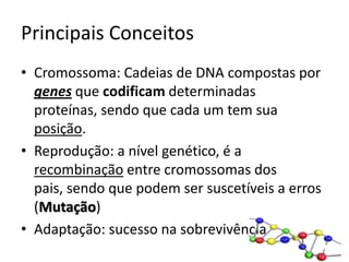 Principais ConceitosCromossoma: Cadeias de DNA compostas por genes que codificam determinadas proteínas, sendo que cada um tem sua posição.Reprodução: a nível genético, é a recombinação entre cromossomas dos pais, sendo que podem ser suscetíveis a erros (Mutação)Adaptação: sucesso na sobrevivência