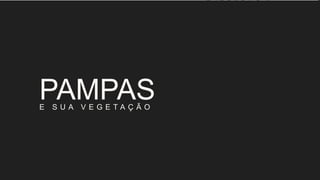 E S U A V E G E T A Ç Ã O
PAMPAS
 