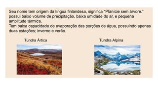 Seu nome tem origem da língua finlandesa, significa ''Planície sem árvore.”
possui baixo volume de precipitação, baixa umidade do ar, e pequena
amplitude térmica.
Tem baixa capacidade de evaporação das porções de água, possuindo apenas
duas estações; inverno e verão.
Tundra Ártica Tundra Alpina
 