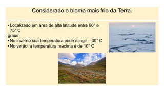 Considerado o bioma mais frio da Terra.
• Localizado em área de alta latitude entre 60° e
75° C
graus
• No inverno sua temperatura pode atingir – 30° C
• No verão, a temperatura máxima é de 10° C
 