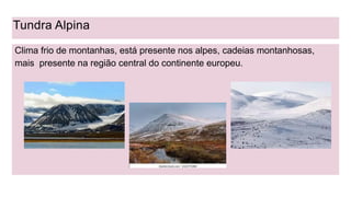 Tundra Alpina
Clima frio de montanhas, está presente nos alpes, cadeias montanhosas,
mais presente na região central do continente europeu.
 