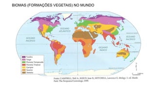 BIOMAS (FORMAÇÕES VEGETAIS) NO MUNDO
 
