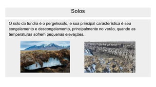 Solos
O solo da tundra é o pergelissolo, e sua principal característica é seu
congelamento e descongelamento, principalmente no verão, quando as
temperaturas sofrem pequenas elevações.
 