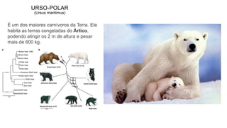 URSO-POLAR
(Ursus maritimus)
É um dos maiores carnívoros da Terra. Ele
habita as terras congeladas do Ártico,
podendo atingir os 2 m de altura e pesar
mais de 600 kg.
 