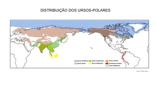 DISTRIBUIÇÃO DOS URSOS-POLARES
fonte: GADM maps
 