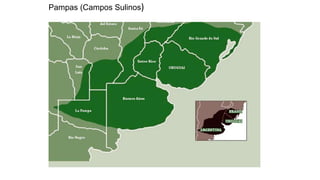 Pampas (Campos Sulinos)
 