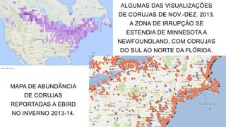 MAPA DE ABUNDÂNCIA
DE CORUJAS
REPORTADAS A EBIRD
NO INVERNO 2013-14.
fonte: Ebird.org
ALGUMAS DAS VISUALIZAÇÕES
DE CORUJAS DE NOV.-DEZ. 2013.
A ZONA DE IRRUPÇÃO SE
ESTENDIA DE MINNESOTA A
NEWFOUNDLAND, COM CORUJAS
DO SUL AO NORTE DA FLÓRIDA.
 