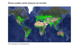 Áreas usadas como lavoura no mundo
Fonte: Revista globo rural (reprodução/nasa)
 