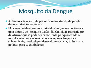 Mosquito da Dengue
 A dengue é transmitida para o homem através da picada
  do mosquito Aedes aegypti.
 Mais conhecido como mosquito da dengue, ele pertence a
  uma espécie de mosquito da família Culicidae proveniente
  de África e que já pode ser encontrado por quase todo o
  mundo, com mais ocorrências nas regiões tropicais e
  subtropicais, sendo dependente da concentração humana
  no local para se estabelecer.
 