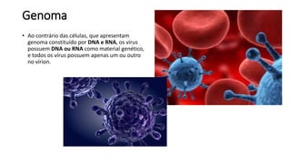 Genoma 
• Ao contrário das células, que apresentam 
genoma constituído por DNA e RNA, os vírus 
possuem DNA ou RNA como material genético, 
e todos os vírus possuem apenas um ou outro 
no vírion. 
 
