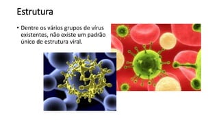 Estrutura 
• Dentre os vários grupos de vírus 
existentes, não existe um padrão 
único de estrutura viral. 
 