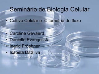 Seminário de Biologia Celular
• Cultivo Celular e Citometria de fluxo

•   Caroline Gevaerd
•   Danielle Evangelista
•   Ingrid Fröehner
•   Isabela DaSilva
 
