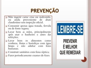  Não ingerir carne crua ou malcozida,
ou ainda proveniente de abate
clandestino sem inspeção oficial.
 Consumir apenas água tratada, fervida
ou de fonte segura;
 Lavar bem as mãos, principalmente
após usar o banheiro e antes das
refeições;
 Lavar bem os alimentos como
verduras, frutas e hortaliças com água
limpa e não adubar com fezes
humanas;
 Construir sanitários com fossa séptica;
 Fazer periodicamente exames de fezes.
 