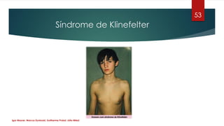 Síndrome de Klinefelter
53
Igor Maurer, Marcos Dynkoski, Guilherme Probst, Júlio Milesi
 