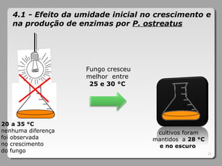 4.1 - Efeito da umidade inicial no crescimento e
na produção de enzimas por P. ostreatus
20 a 35 °C
nenhuma diferença
foi observada
no crescimento
do fungo
Fungo cresceu
melhor entre
25 e 30 °C
cultivos foram
mantidos a 28 °C
e no escuro
21
 