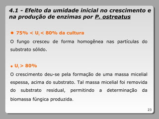 ● 75% < Ui < 80% da cultura
O fungo cresceu de forma homogênea nas partículas do
substrato sólido.
● Ui > 80%
O crescimento deu-se pela formação de uma massa micelial
espessa, acima do substrato. Tal massa micelial foi removida
do substrato residual, permitindo a determinação da
biomassa fúngica produzida.
23
4.1 - Efeito da umidade inicial no crescimento e
na produção de enzimas por P. ostreatus
 