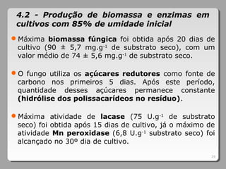Máxima biomassa fúngica foi obtida após 20 dias de
cultivo (90 ± 5,7 mg.g-1
de substrato seco), com um
valor médio de 74 ± 5,6 mg.g-1
de substrato seco.
O fungo utiliza os açúcares redutores como fonte de
carbono nos primeiros 5 dias. Após este período,
quantidade desses açúcares permanece constante
(hidrólise dos polissacarídeos no resíduo).
Máxima atividade de lacase (75 U.g-1
de substrato
seco) foi obtida após 15 dias de cultivo, já o máximo de
atividade Mn peroxidase (6,8 U.g-1
substrato seco) foi
alcançado no 30º dia de cultivo.
29
4.2 - Produção de biomassa e enzimas em
cultivos com 85% de umidade inicial
 