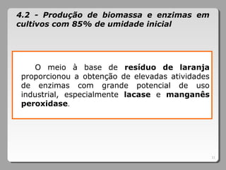 31
O meio à base de resíduo de laranja
proporcionou a obtenção de elevadas atividades
de enzimas com grande potencial de uso
industrial, especialmente lacase e manganês
peroxidase.
4.2 - Produção de biomassa e enzimas em
cultivos com 85% de umidade inicial
 