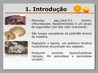 6
1. Introdução
• Pleurotus spp.(Jack:Fr) Kumm.
(Pleurotaceae, Basidiomicetes) é um grupo
de cogumelos com alto valor nutricional;
• São fungos causadores da podridão branca
da madeira;
• Degradam a lignina, um polímero fenólico
recalcitrante encontrado nos vegetais;
• Produzem enzimas lignocelulolíticas
(lacases, Mn peroxidase e peroxidase
versátil) .
 