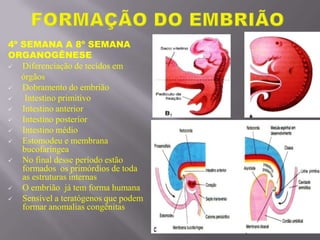 4º SEMANA A 8º SEMANA
ORGANOGÊNESE
 Diferenciação de tecidos em
órgãos
 Dobramento do embrião
 Intestino primitivo
 Intestino anterior
 Intestino posterior
 Intestino médio
 Estomodeu e membrana
bucofaríngea
 No final desse período estão
formados os primórdios de toda
as estruturas internas
 O embrião já tem forma humana
 Sensível a teratógenos que podem
formar anomalias congênitas
 