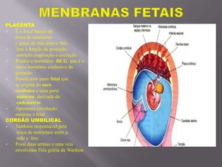PLACENTA
 É o local básico de
troca de nutrientes
e gases da mãe para o feto
 Tem a função de proteção,
nutrição,respiração e excreção
 Produz o hormônio HCG que é o
único hormônio exclusivo da
gestação
 Possui uma parte fetal que
se origina do saco
coriônico e uma parte
materna derivada do
endométrio
 Apresenta circulação
materna e fetal
CORDÃO UMBILICAL
 Também responsável pela
troca de nutrientes entre a
mãe e feto
 Possi duas artéias e uma veia
envolvidas Pela geléia de Warthon
 
