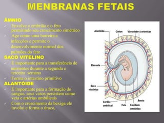 ÂMNIO
 Envolve o embrião e o feto
permitindo seu crescimento simétrico
 Age como uma barreira a
infecções e permite o
desenvolvimento normal dos
pulmões do feto
SACO VITELINO
 É importante para a transferência de
nutrientes durante a segunda e
terceira semana
 Forma o intestino primitivo
ALANTÓIDE
 É importante para a formação do
sangue, seus vasos persistem como
veia e artérias umbilicais
 Com o crescimento da bexiga ele
involui e forma o úraco,
 