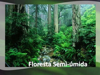 Floresta Semi-úmida
 