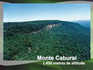 Monte Caburaí
 1.456 metros de altitude
 