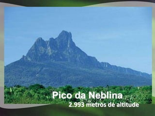 Pico da Neblina
   2.993 metros de altitude
 