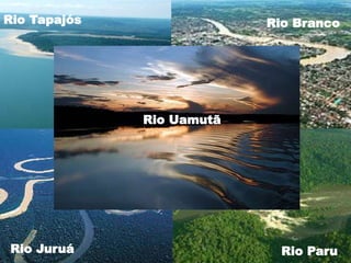 Rio Amazonas
Rio Tapajós                    Rio Xingu
                              Rio Branco




 Rio Tocantins
                 Rio Uamutã




Rio Negro                     RioRio Paru
Rio Juruá                     Rio Solimões
                                  Madeira
 