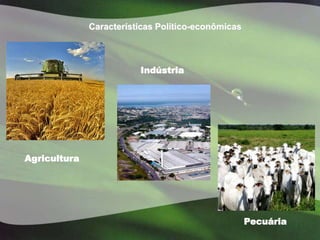Características Político-econômicas



                         Indústria




Agricultura




                                                    Pecuária
 