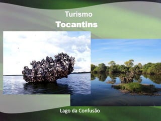Turismo
Tocantins




Lago da Confusão
 