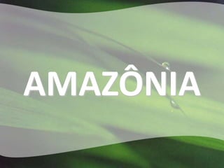AMAZÔNIA
 
